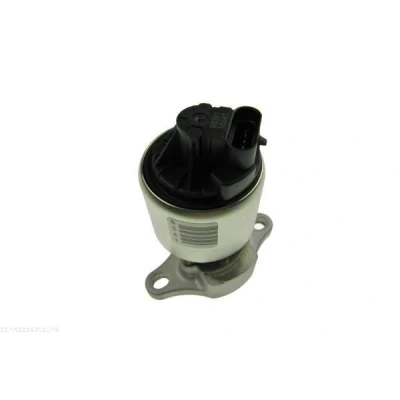 Image de AUTOMEGA 140026310 Vanne EGR OPEL: Zafira A, Astra G CC, Vectra B CC