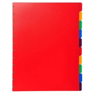 Image de Exacompta Réf. 86003E Carton de 10 Intercalaires en polypro rigide multicolores pour protège documents amovible à anneaux onglets neutres format A4 maxi dimensions 24 x 30,5 cm