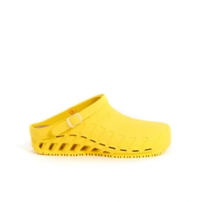 Image de Scholl Clog Evo, Uomo, Giallo, 45 EU
