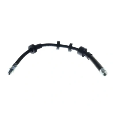 Image de DELPHI LH6028 Flexible De Frein 470 M10x1 Int SF FIAT: Cinquecento, Seicento / 600 3/5 portes