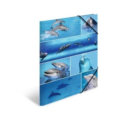 Image de HERMA Chemises à élastique Animaux avec motif Dauphins, A3, carton robuste, impression intérieure, 1 porteé de chemise