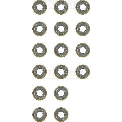 Image de REINZ 12 54047 01 Jeu de joints d&#039;étanchéité, tige soupape ISUZU: D Max 1 Pickup