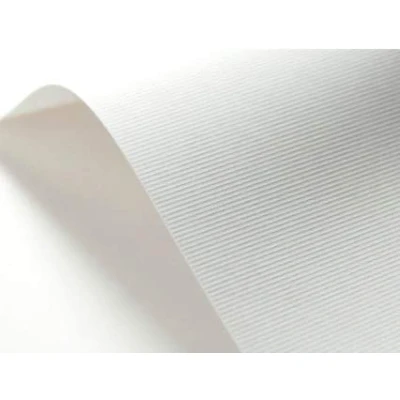 Image de Netuno 20x carton gaufré blanc à nervures A4 210x297mm 246g Elfenbein embossé papier de bricolage texturé pour cartes d&#039;invitation visite diplômes décoratif haute qualité