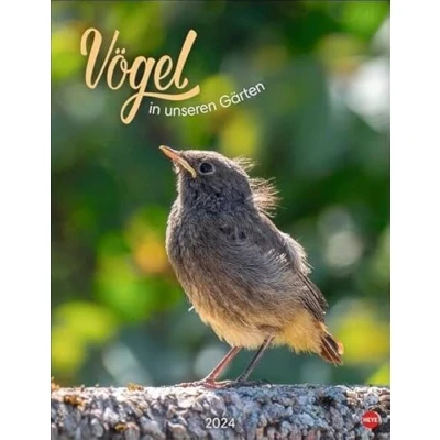 Image de Calendrier 2024 avec oiseaux dans nos jardins De nombreuses photos et textes informatifs sur 12 espèces d&#039;oiseaux un mural fascinant décoratif à valeur ajoutée pour les