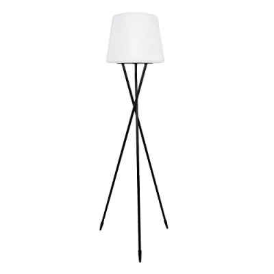 Image de Lampadaire sans fil TRY C150