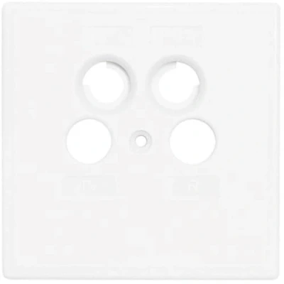 Image de Axing SZU 2 03 plaque murale cache pour prise BSD 961 xx blanc