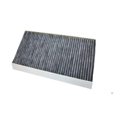 Image de AUTOMEGA 180046710 Filtre d&#039;habitacle à charbon actif 333 165 31 OPEL: Corsa C 3/5 portes, Vectra CC, Combo Tour, SAAB: 9 3 Berline