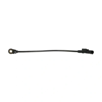Image de DELPHI SS20339 Capteur ABS actif 260 MERCEDES BENZ: Classe ML, R, GL