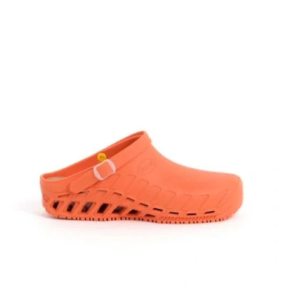 Image de Scholl Clog Evo, Uomo, Arancione, 39 EU