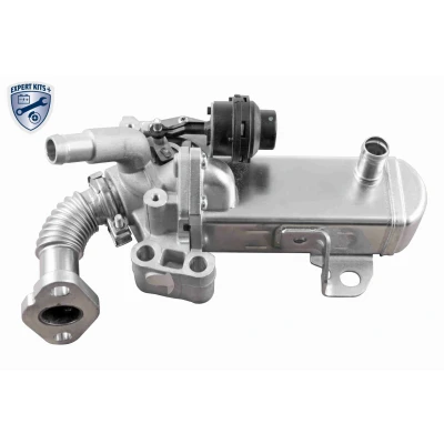 Image de ACKOJA A38 63 0004 Vanne EGR électrique avec radiateur Mise à jour de l&#039;outil commande/du logiciel nécessaire NISSAN: NP300 Navara Pick up