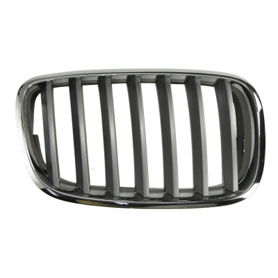 Image de Grille de radiateur BLIC 6502 07 0096992PP Droite