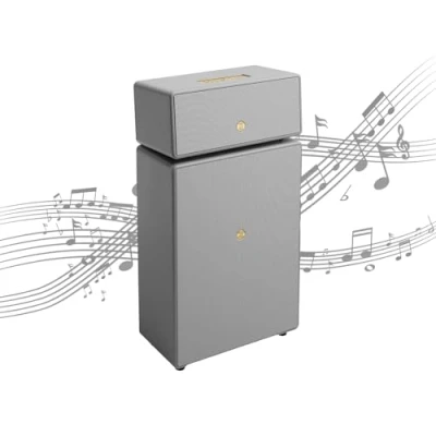 Image de Audio Pro Drumfire II Enceinte Multiroom WiFi Puissante sans Fil avec Bluetooth Haut Parleur Portable AirPlay2, Google Cast, Spotify Connect Gris