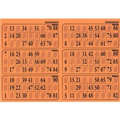 Image de 1 Planche de 6 grilles loto Traditionnel Plaque rigide mm pour usage frequent orange Kit accessoire soiree Jeu bingo et carte