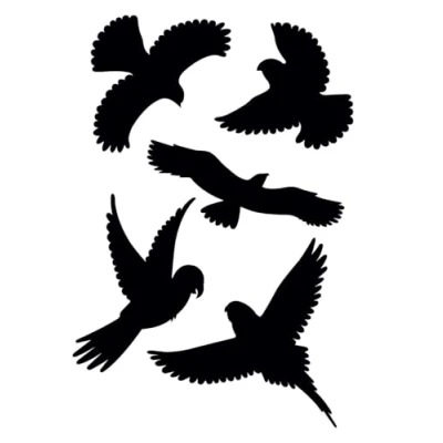Image de GARDIGO® Autocollants Anti Collision, Stickers En Forme d&#039;Oiseau Exotiques, Paquet de x5 pcs, Empêchement D’impact Pour Fenêtres, Portes, Vérandas, Résistants aux Intempéries, Noir.