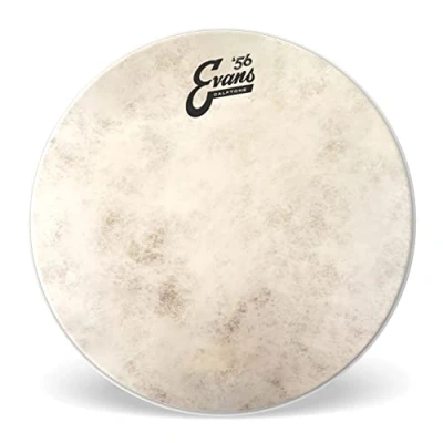 Image de Tambour Evans TT13C7 Calftone 13 Inch