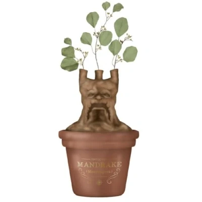 Image de Harry Potter Mandragonne Pot de Fleurs/Vase Table