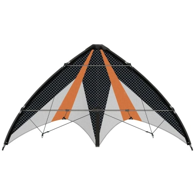 Image de GÜNTHER FLUGSPIELE Paul 1028 Cerf Volant de Sport Synergy 125, Voile en Polyester Ripstop, avec Deux bobines Direction et des Cordes, Dimensions env. 125 x 54 cm, pour Enfants à partir 10 Ans