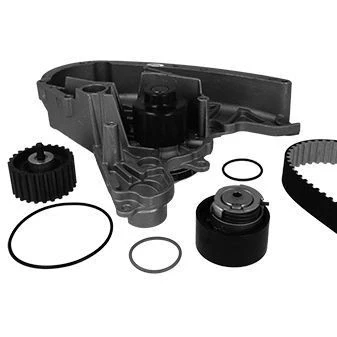 Image de Pompe à eau + kit de courroie distribution METELLI 30 0900 1