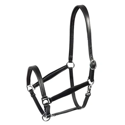 Image de PFIFF 102367 Licol en cuir « Tender » Noir Cob