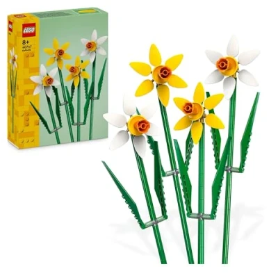 Image de Les jonquilles