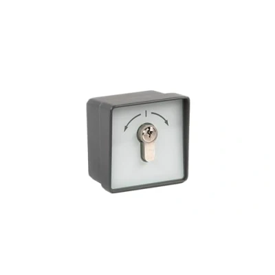 Image de AMZ 1 2T/1 Interrupteur à clé avec PHZ Gris zinc/anthracite