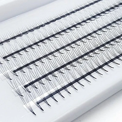 Image de 2 plateaux extensions de cils 6D et 4D volume 0,07 mm curl C en grappe russe, 3D volumineux d&#039;aspect naturel professionnel eyelash cluster lash d&#039;EMEDA