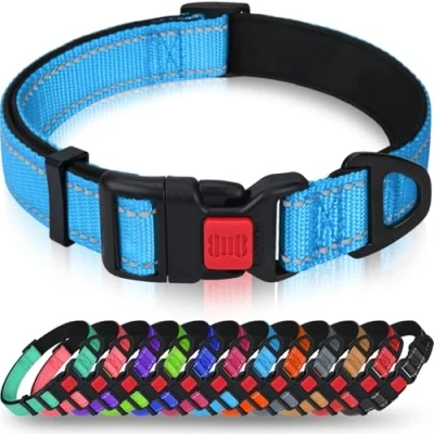 Image de Taglory Collier pour Chien, en Nylon Réfléchissant Réglable Classique avec Rembourré Doux Respirant Mesh Chiot Chiens, XS, Bleu Ciel