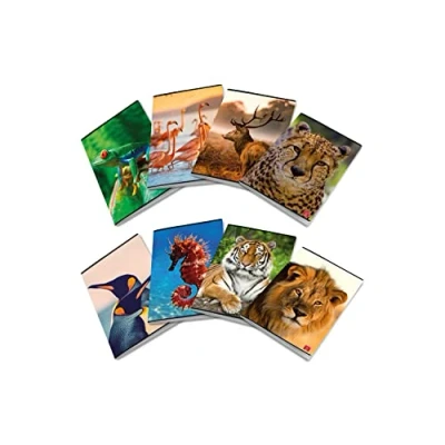 Image de Pigna ANIMAL, Lot de 10 cahiers A4 rangs 0A premier/deuxième année