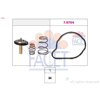 Image de Thermostat d&#039;eau FACET 7.8841
