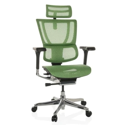 Image de hjh OFFICE Chaise de Bureau Ergonomique ERGOHUMAN Slim GEN2 Design Original, pivotante avec Soutien Lombaire Flexible, Filet Vert