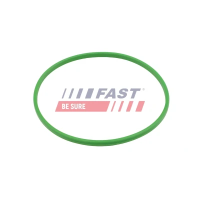 Image de FAST FT48503 Joint d&#039;étanchéité, pompe à carburant FIAT: Panda II 5 portes, Doblo I Break, 500 3 ALFA ROMEO: 147, 156 Berline, GT