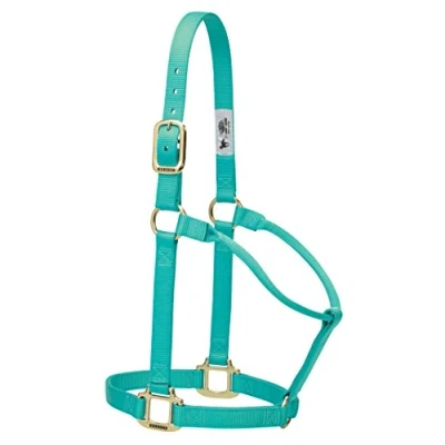 Image de Weaver Leather Licol Original Non réglable en Nylon pour Cheval Vert Menthe Taille L