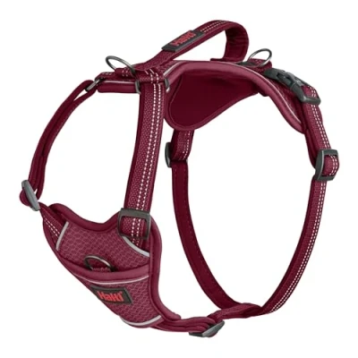 Image de HALTI Anatomy Harnais pour Chien avec Poignée Offre à Votre Liberté de Mouvement Une Promenade Confortable 3 Points d&#039;attache Laisse Rembourré Néoprène Réglable Réfléchissant (Taille S,