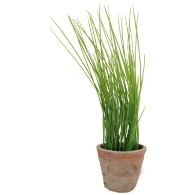 Image de Esschert&#039;s Design AH005 Petit Pot Artificiel en Terre Cuite vieillie Ciboulette