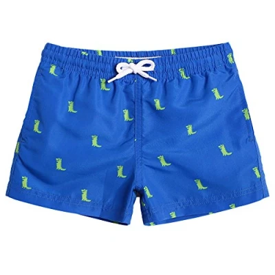 Image de MaaMgic Short de Bains D&#039;Ete Garcons Filles Carton Dinasaure Slip Filet Maillot Bain Enfant a la Plage, Bleu Dinosaure, 4 ans