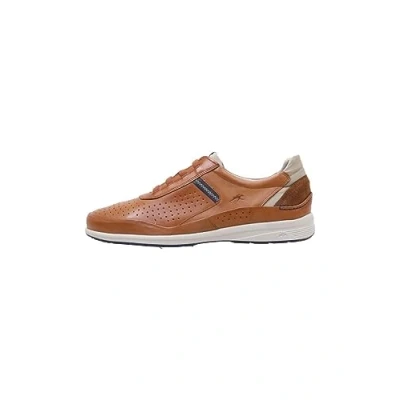Image de Fluchos F1736 Marron 44