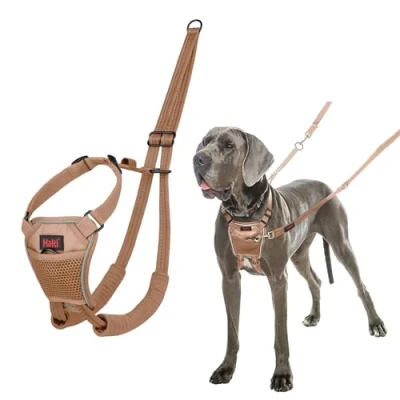 Image de Harnais Anti Traction HALTI pour Que Votre Chien arrête de Tirer sur sa Laisse, Sangle poitrail et des Pattes Avant rembourrée, Grand Chiens (Taille L, Sable du Désert)
