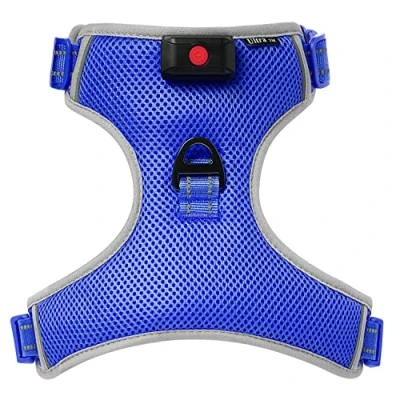 Image de X Grand Bleu Harnais pour Chien avec USB Rechargeable LED Lumineux Chiot Reglable Gilet Fluo Accessoire Fluorescent Securite Arnet