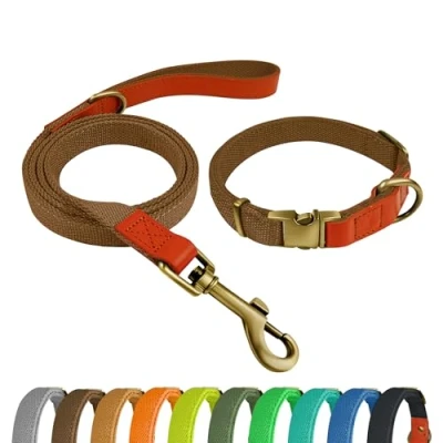 Image de Qianruida Collier Chien Tactique Laisse Ensemble Kit pour Chiens Moyens et Grands Marron,M