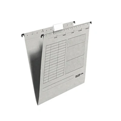 Image de Falken Réf. 80004427001F Carton de 25 dossiers suspendus A4 Gris