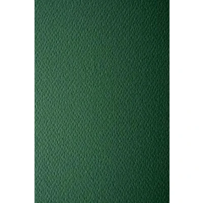 Image de Netuno 10x papier couleur vert sapin A5 148x210mm Prisma Pino 220g cartonné gaufré une face décoratif pour imprimantes décoration scrapbooking invitations bricolage cartes de vœux
