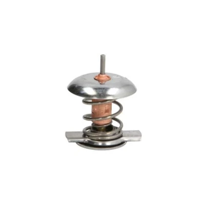 Image de THERMOTEC D2Y002TT Thermostat d&#039;eau 87 avec joint d&#039;étanchéite boîtier MERCEDES BENZ: Sprinter 3 T Bus, Vito Mixto, Classe E Berline