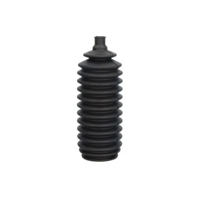 Image de Jeu de soufflets (direction) PASCAL I67003PC