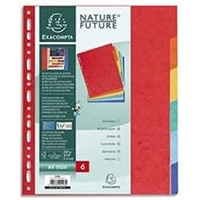 Image de Exacompta Réf. 89H Intercalaires en véritable carte lustrée rigide 400g/m2 FSC® avec 6 onglets neutres Page d&#039;indexation fournie Format à classer A4 dimensions 22,5x29,7cm Couleurs assorties