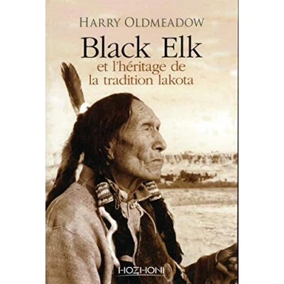 Image de Black Elk et l&#039;héritage de la traditioin lakota Livre d’occasion Bon
