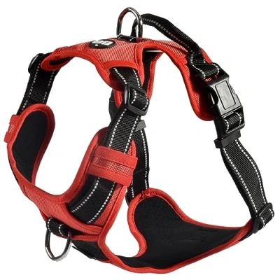 Image de Bobby Rando Walk Harnais pour Chien, Chien Moyen Petit Grand en Nylon, Sûr, Confortable, Réfléchissant, Ajustable, Rouge, xL/53 82x2,5 CM