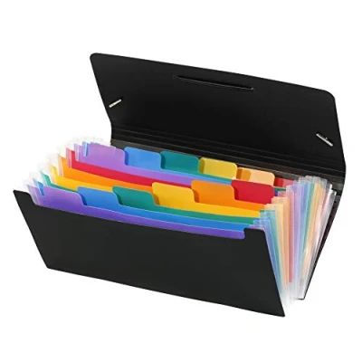 Image de VIQUEL Trieur chèque RAINBOW CLASS noir avec 13 compartiments intérieur multicolore