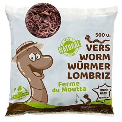 Image de Moutta 250 GR de vers Compost Terre Vivants Eisenia, compostez Vos déchets organiques pour lombricomposteur/composteur/Jardin
