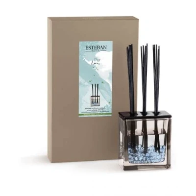 Image de Esteban Pur Lin Bouquet Parfumé Triptyque avec Baguettes et Recharge de 250 ml