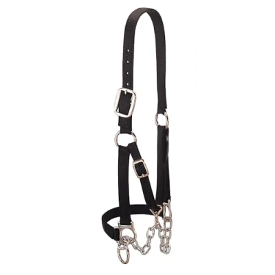 Image de Weaver Licol en Cuir Robuste, 35 0902 BK, Noir, m